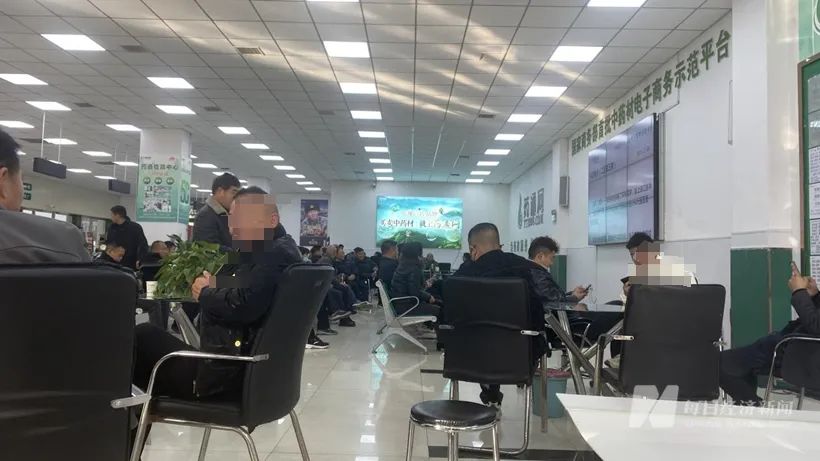 突然大降价，一公斤从300元降到55！经营户愁眉不展，这种中药材“谁囤货谁赔钱”5