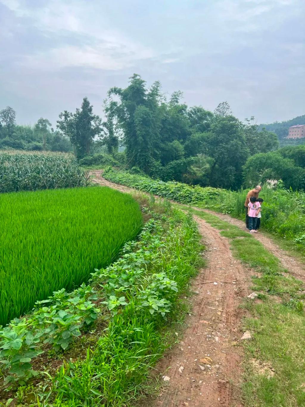 铜梁道路，网民供图老路1