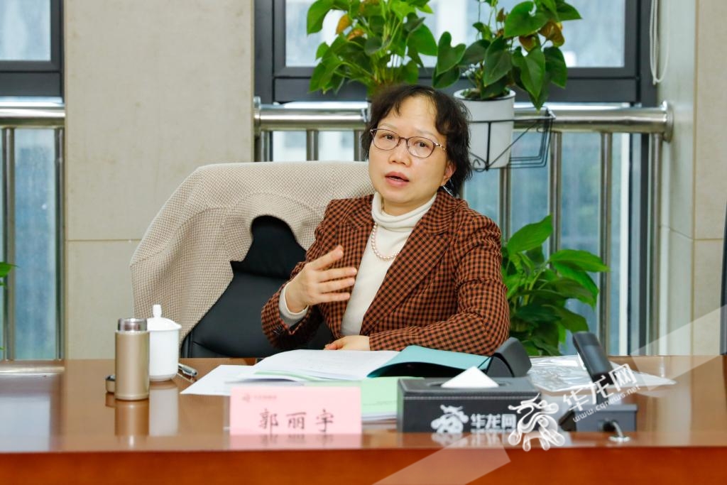重庆市经济和信息化委员会科技处处长郭丽宇发言。华龙网记者 石涛 摄