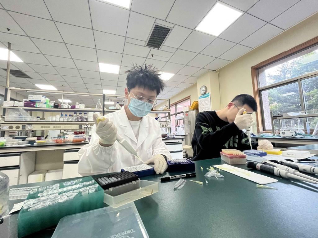 喻浩宸（左一）在实验室开展研究。华龙网记者 陈美西摄