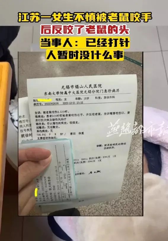 挑衅?女生被老鼠咬手,反咬报仇!室友:天灵盖上俩牙印 | 如何正确处理?专家提醒 →2