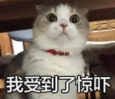 挑衅?女生被老鼠咬手,反咬报仇!室友:天灵盖上俩牙印 | 如何正确处理?专家提醒 →1