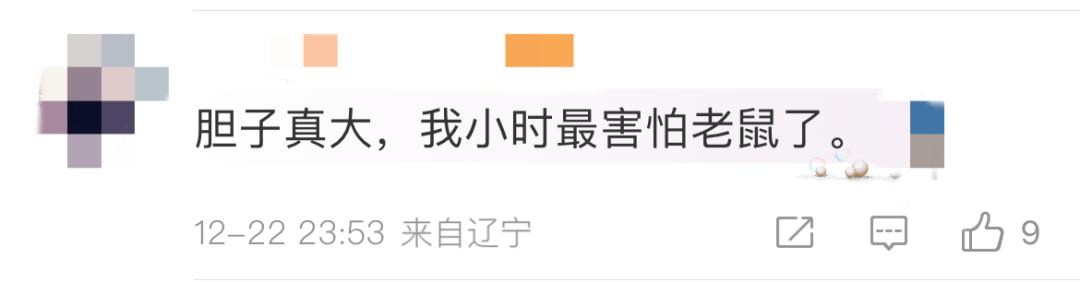 挑衅?女生被老鼠咬手,反咬报仇!室友:天灵盖上俩牙印 | 如何正确处理?专家提醒 →7