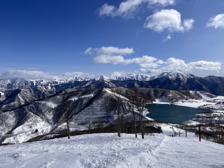 滑雪教练分析中国游客在日本滑雪身亡原因：疑摔倒后吸入粉雪窒息