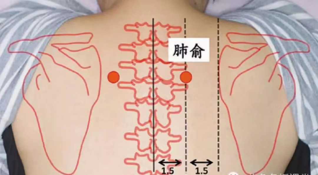 这些穴位助您宣肺平喘 生津止咳2