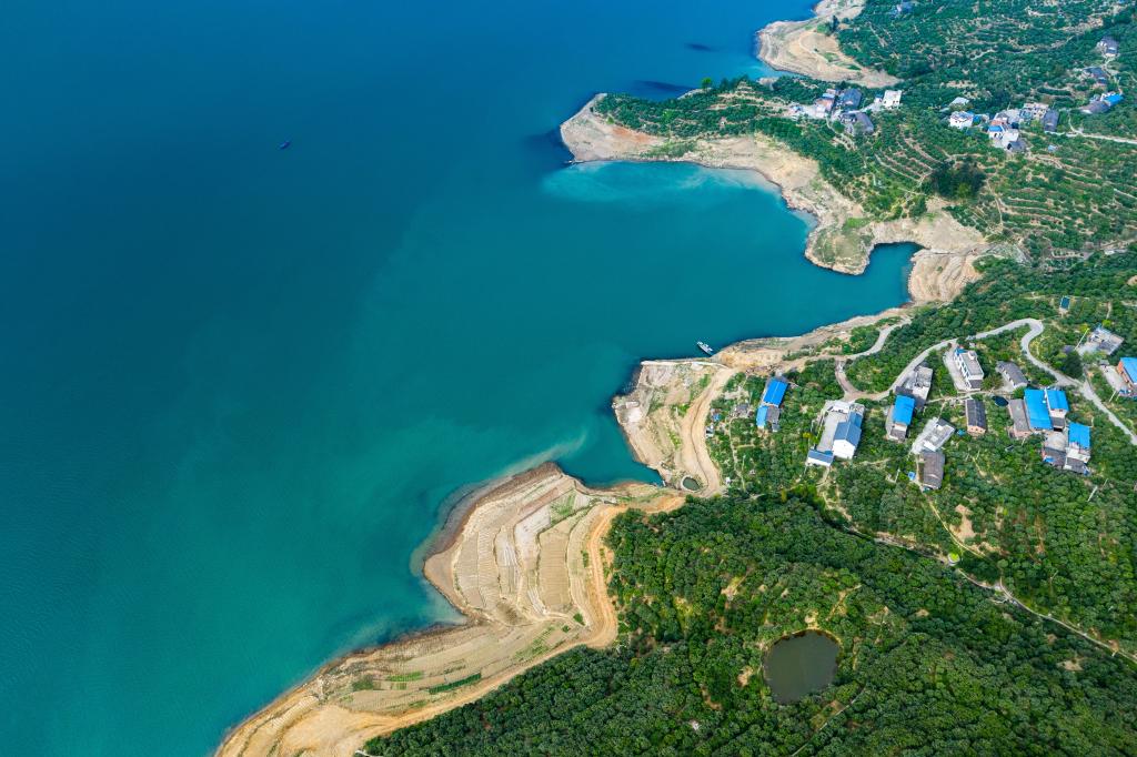 奉节县安坪脐橙园。