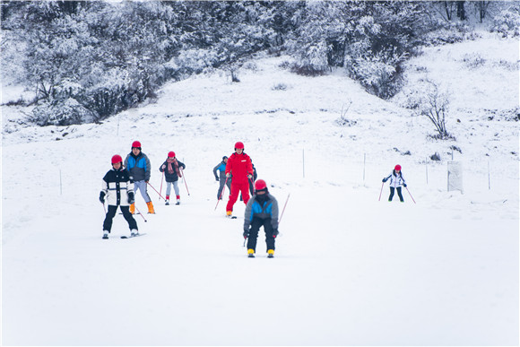 游客在红池坝滑雪场体验滑雪。巫溪县文旅委供图 华龙网发