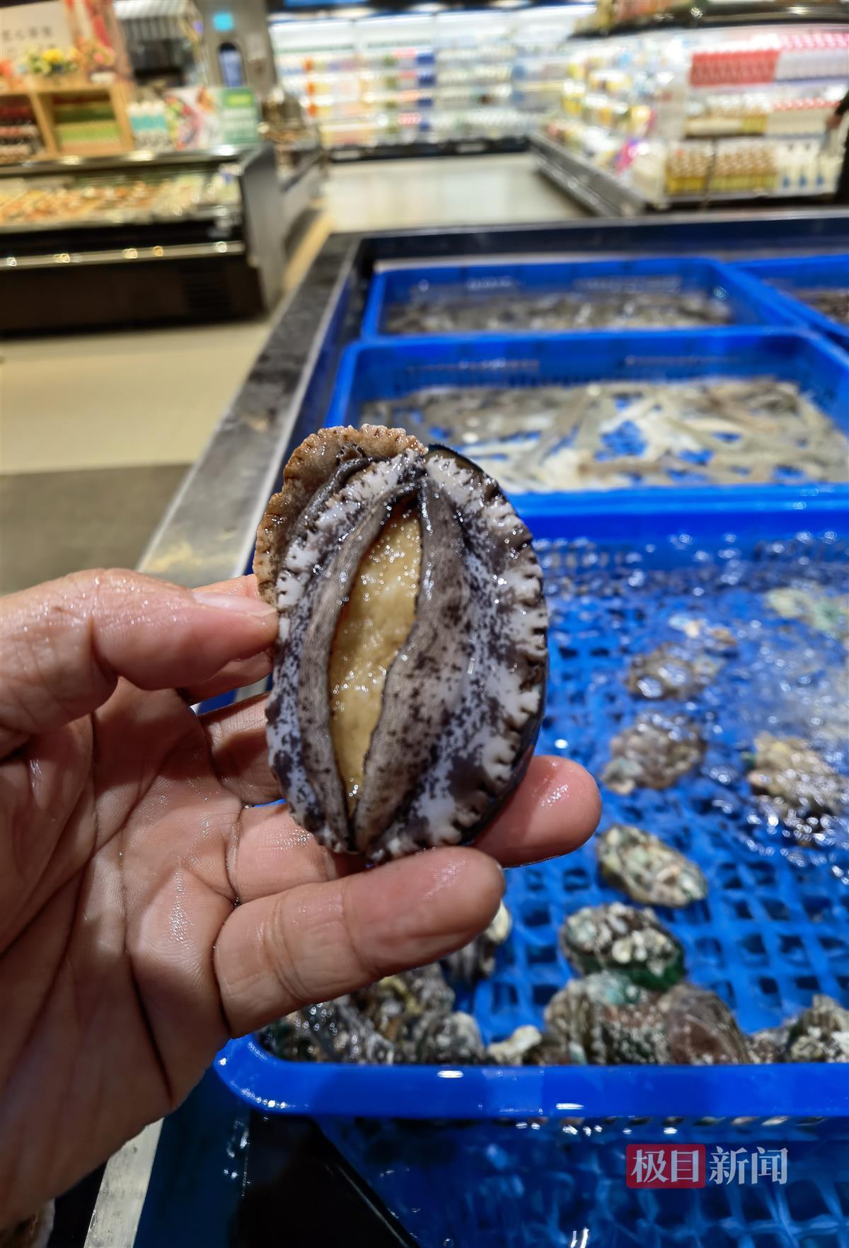 近十年最低！小鲍鱼一只不到3块钱，平价海鲜可以吃到春节前4