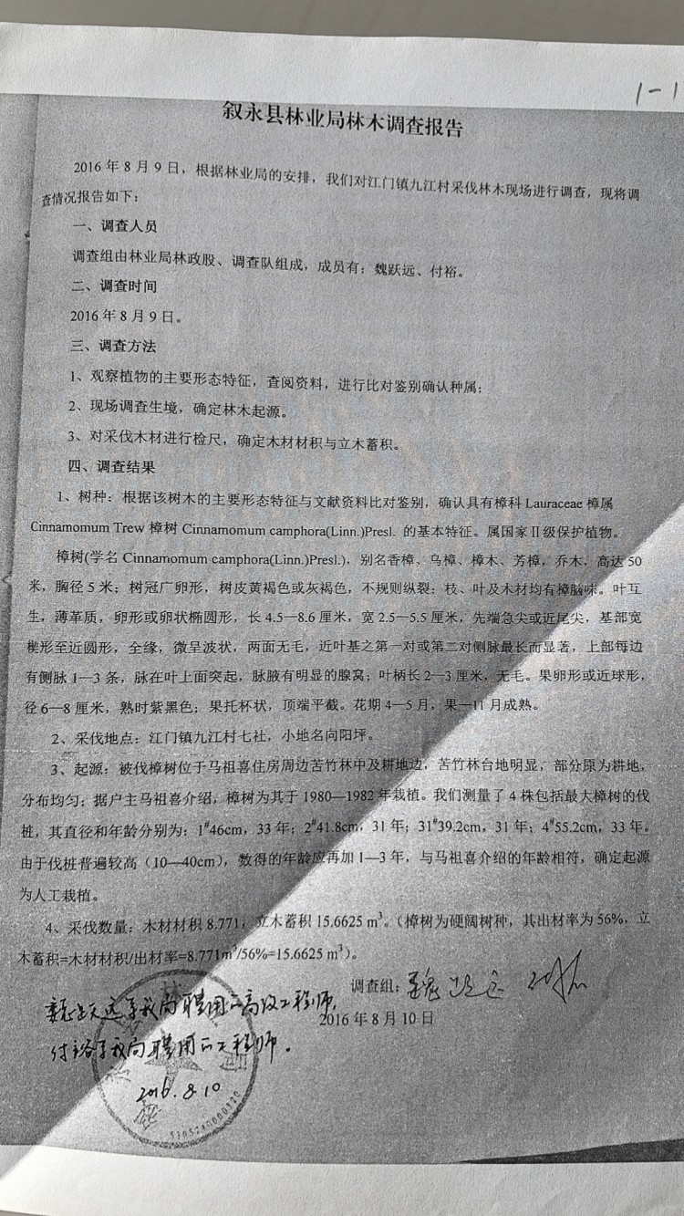 四川男子售卖自家26棵香樟判缓刑背后：人工栽种香樟算不算国家重点保护植物？3