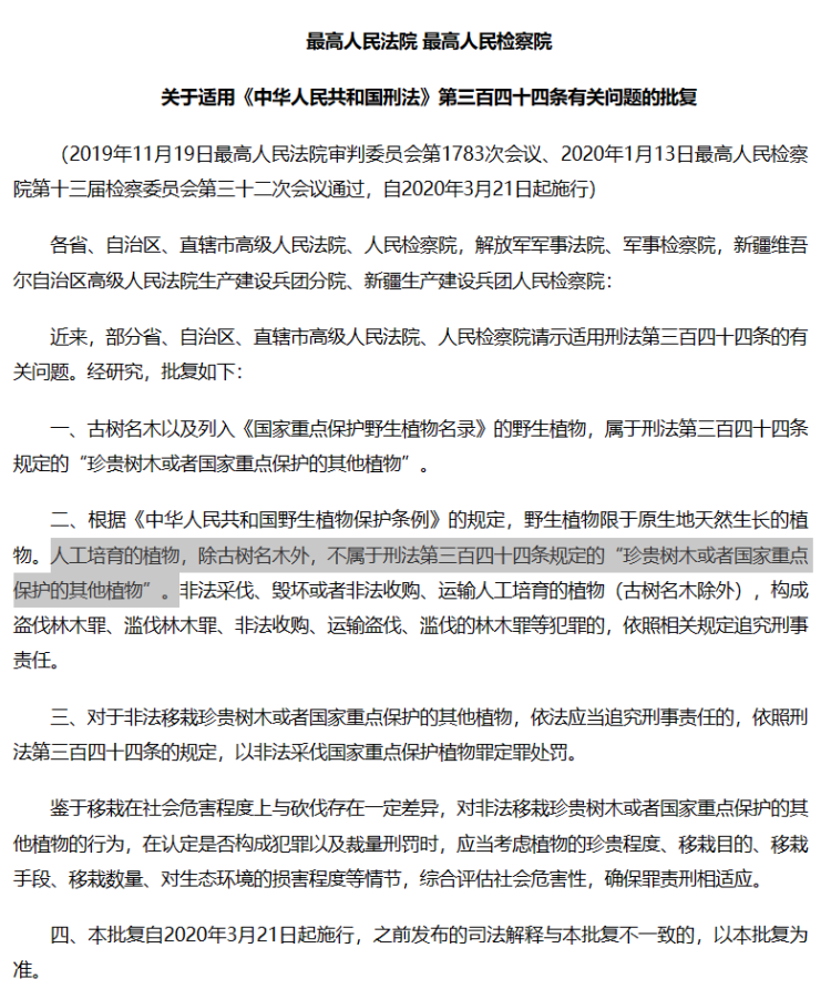 四川男子售卖自家26棵香樟判缓刑背后：人工栽种香樟算不算国家重点保护植物？7
