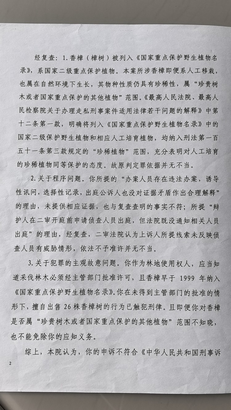 四川男子售卖自家26棵香樟判缓刑背后：人工栽种香樟算不算国家重点保护植物？6