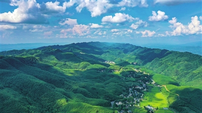 蓝天白云下的百里竹海旅游度假区。记者 熊伟 向成国 摄