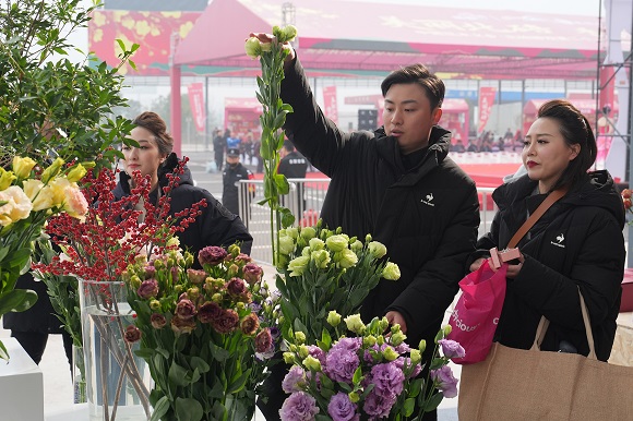 市民在选购鲜花。特约通讯员 秦廷富  摄