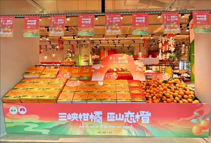 橙心相伴，市民共享甜蜜盛宴。巫山县果业发展中心供图