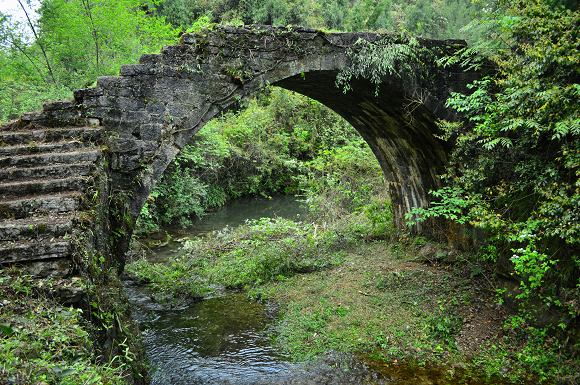 杂草丛生的石家沟古桥能让人感悟历史的厚重与绵长。龙光进 摄