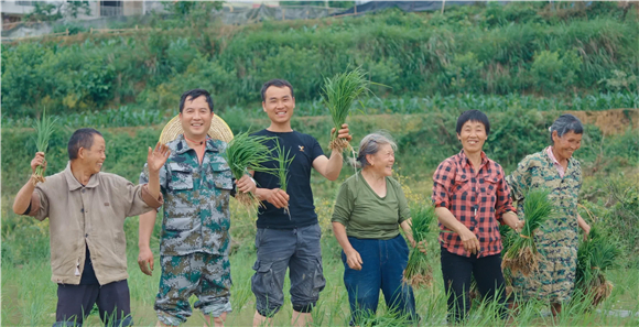 水稻种植。受访者供图 华龙网发