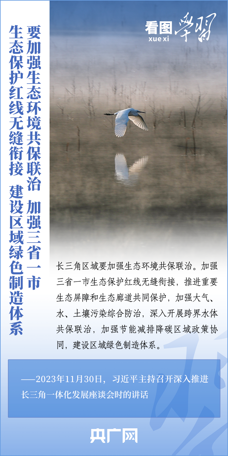 看图学习丨如何深入推进长三角一体化发展 总书记作出重要指引7