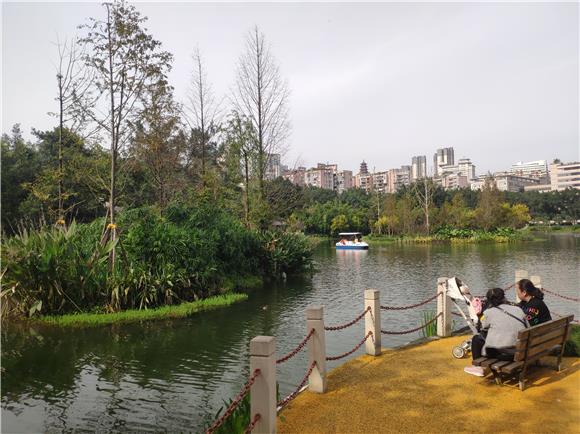 市民在公园里一边畅享暖阳一边欣赏湖面上色彩斑斓的植物美景。通讯员 范永根 摄