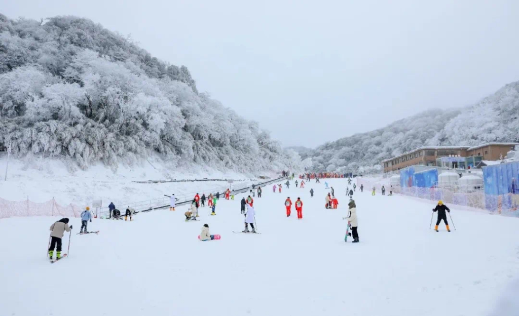 南川金佛山上，游客正在滑雪。景区供图