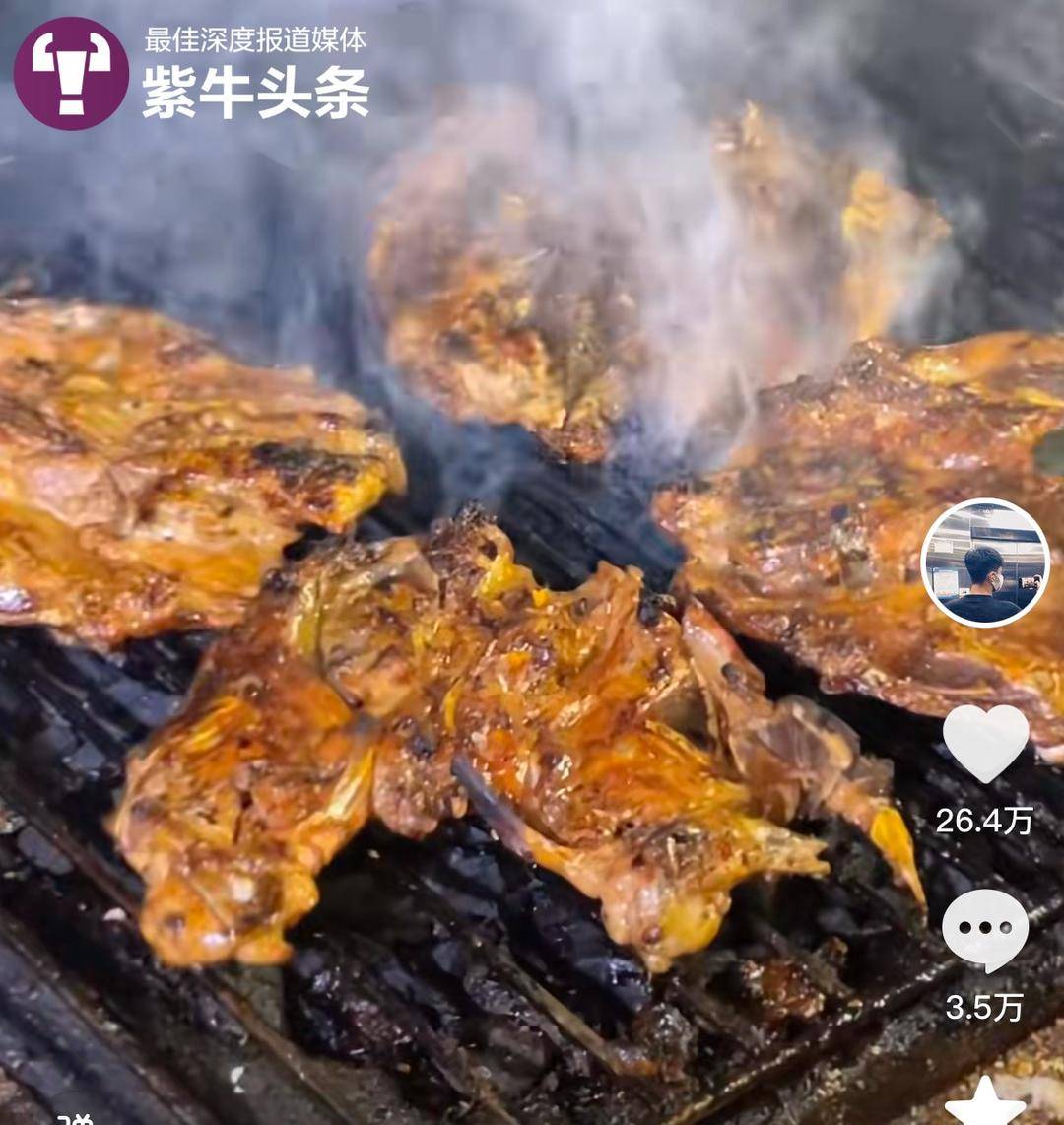 每个周末去不同城市旅游！一年下来小伙记录的美食故事治愈无数上班族5