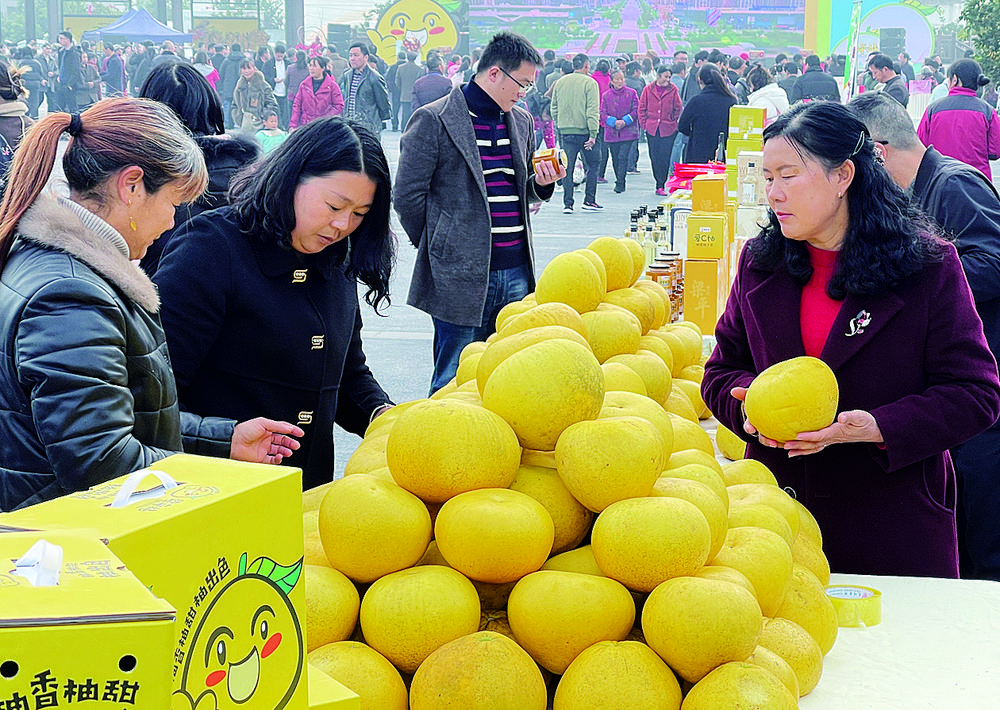 第六届长江三峡（梁平） 国际柚博会开幕 致富柚绝招 丰收又一年