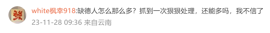 未命名图片5