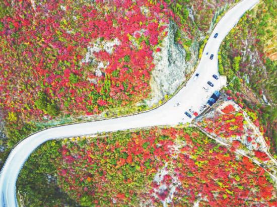 红叶映衬下的农村公路。记者 鲁作炳 供图