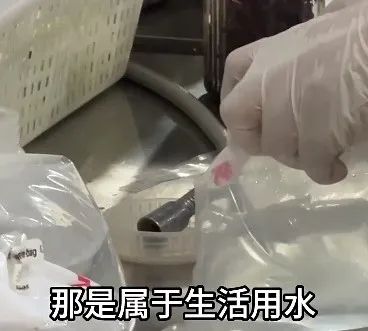 未命名图片10
