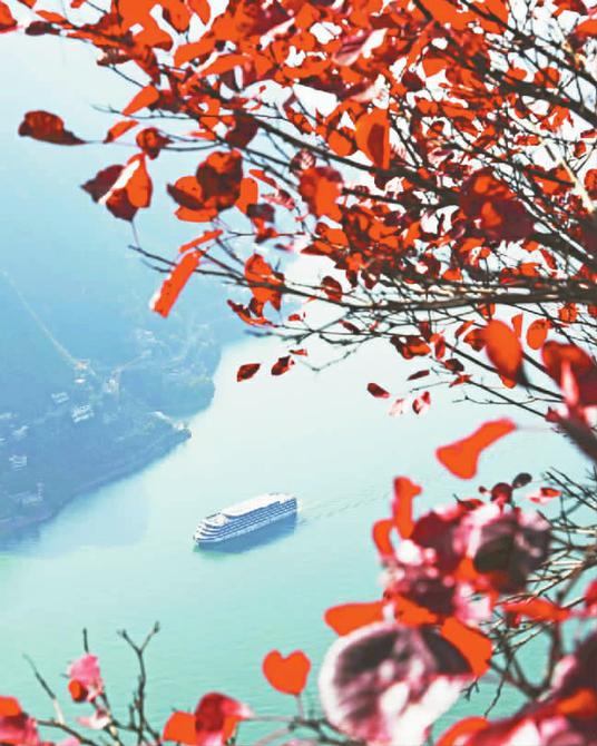 红叶与碧绿的江水交相辉映。记者 鲁作炳 供图
