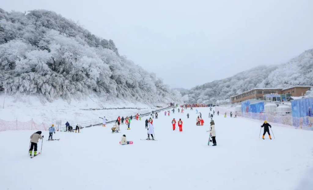 Tourists are skiing on Gold Buddha Mountain in Nanchuan. (Photo provided by the scenic spot)