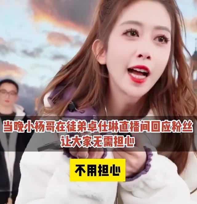 小杨哥徒弟“红绿灯的黄”开播3分钟直播间被封，小杨哥回应：无需担心3