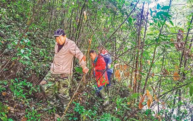 8年来 3名60后在深山为500余种珍稀药草建了个“家”3