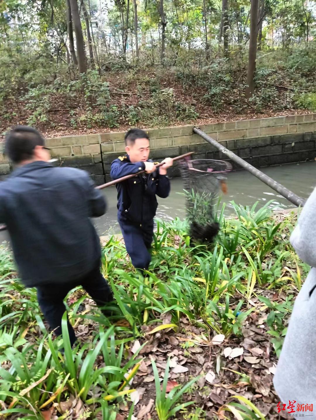 为了救一只流浪小狗，这所大学放干了“护校河”的水4