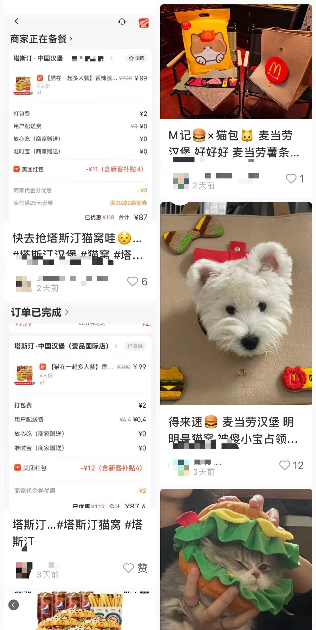 想赚年轻人的钱，得先讨好他们的猫？1