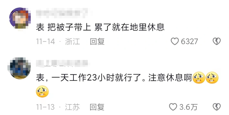 砂糖橘发出一年一度变黄警告！网友在线催广西老表努力摘橘子15