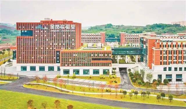 双城经济圈一体化发展如何？“成绩单”来了→8