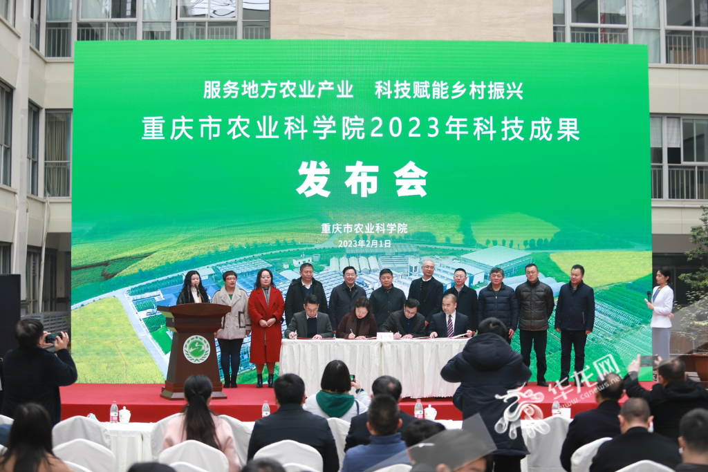 重庆市农科院举行“2023年科技成果发布会”。华龙网-新重庆客户端记者 尹建红 摄