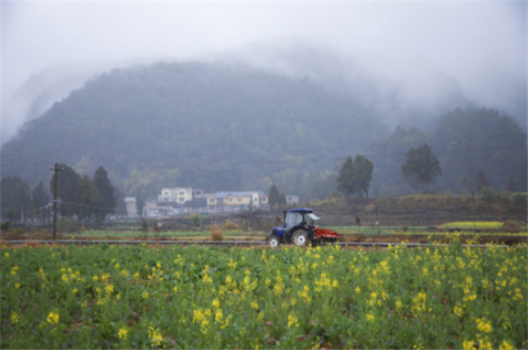 2月8日，贵州省龙里县湾滩河镇走马村农民驾驶农机在田里翻耕土地。新华社记者 刘续 摄