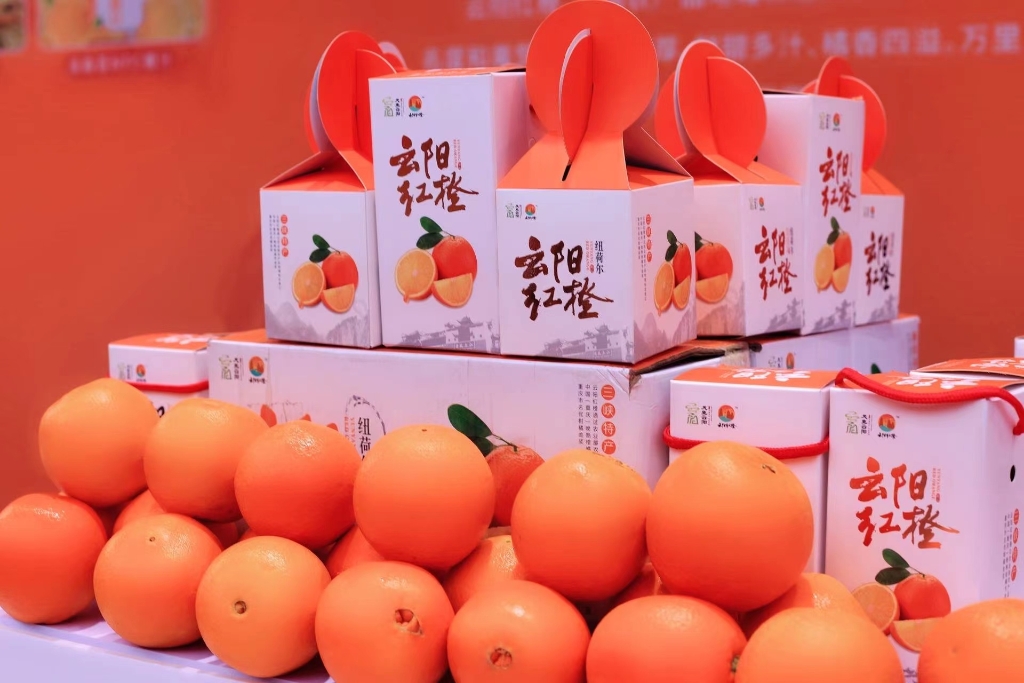 金灿灿的柑橘，成为村民的“致富果”。受访者供图