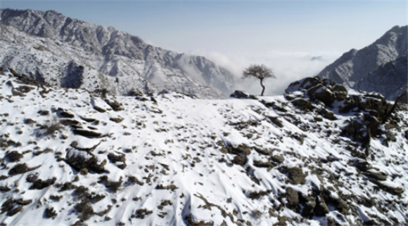 2月9日在宁夏贺兰山苏峪口国家森林公园拍摄的雪后贺兰山（无人机照片）。新华社记者 王鹏 摄