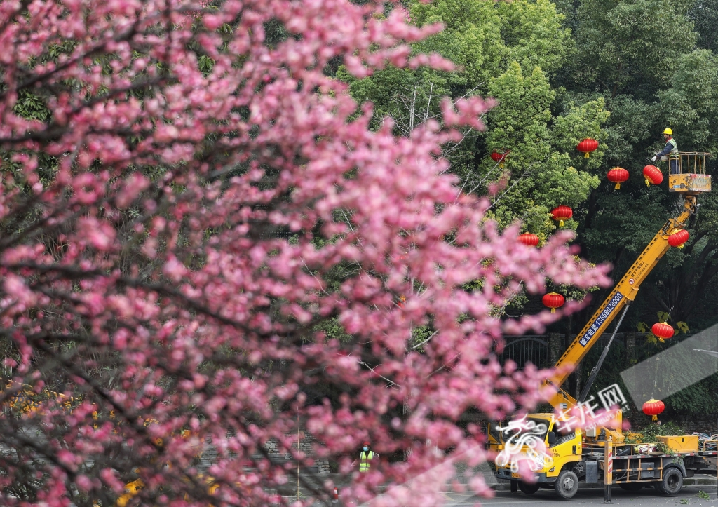 春节去，春天来。华龙网-新重庆客户端记者 张质 摄