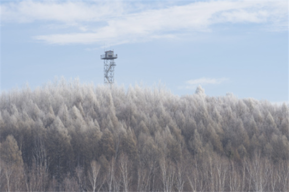 位于黑龙江省黑河市的黑龙江省沾河林业局有限公司施业区内的防火瞭望塔与雾凇景观（2月13日摄）。新华社记者 谢剑飞 摄