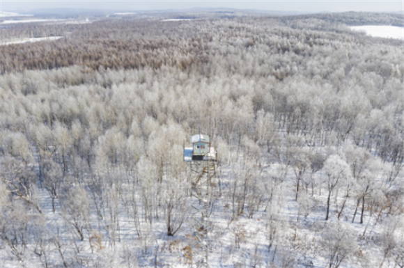 位于黑龙江省黑河市的黑龙江省沾河林业局有限公司施业区内的防火瞭望塔与雾凇景观（2月13日摄，无人机照片）。 新华社记者 谢剑飞 摄