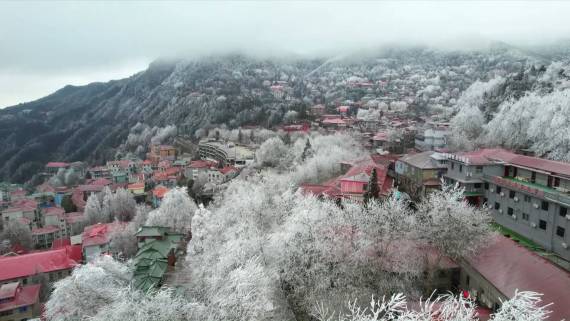 倒春寒后　庐山现“冬山如玉”美景1