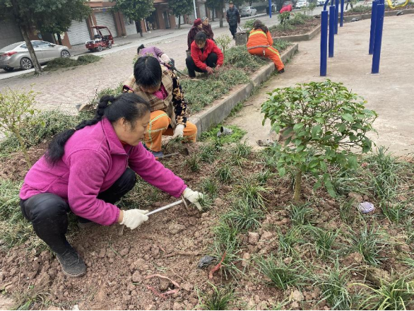 干群协力为小区绿化带补种绿植。通讯员 吕小淋 摄