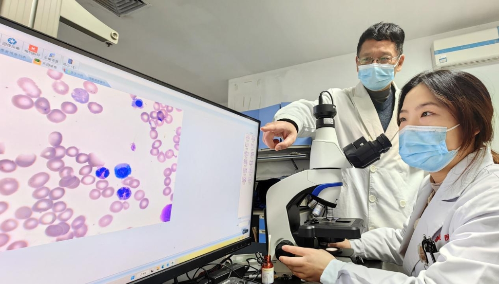 检验医师正在操作AI智能影像诊断系统读取骨髓涂片。通讯员 曾理 摄
