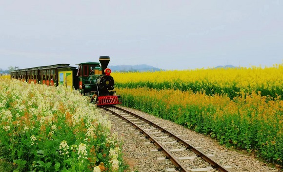 景区内，开往春天的小火车。潼南区委宣传部供图 华龙网发