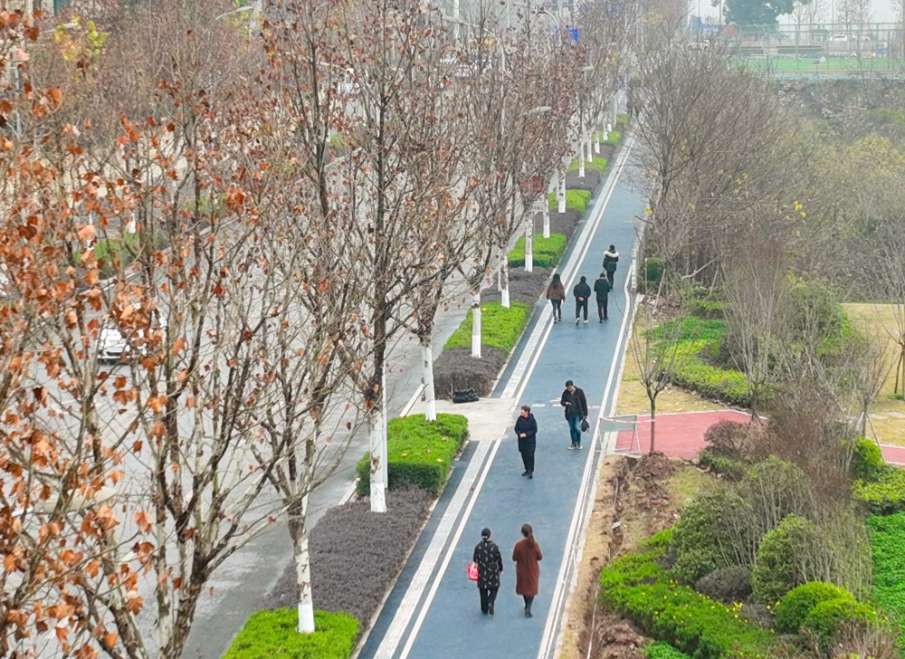 礼嘉山城步道部分开放 嘉陵滨江生态长廊将再添新景