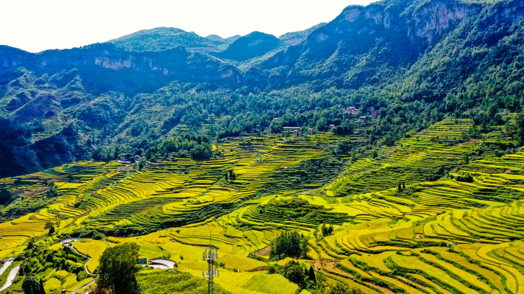 Wushan Tianlu Xiazhuang Scenic Area. (Photo provided by Chongqing Municipal Culture and Tourism Development Commission)