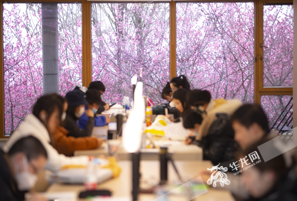 Outside of the windows in the reading area on the second floor are full of plum blossom.